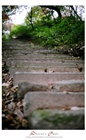 dailyPhoto35