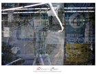 dailyPhoto7