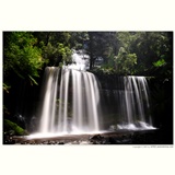 dailyPhoto7