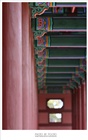 dailyPhoto9