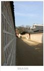 dailyPhoto8