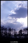 dailyPhoto19
