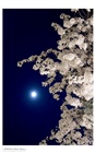 dailyPhoto10