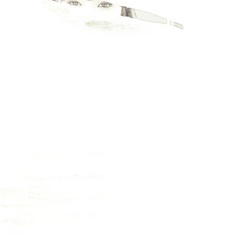 dailyPhoto28