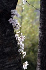 dailyPhoto1