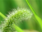 dailyPhoto37