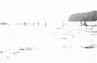dailyPhoto37