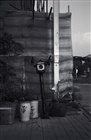 dailyPhoto33