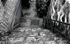 dailyPhoto33