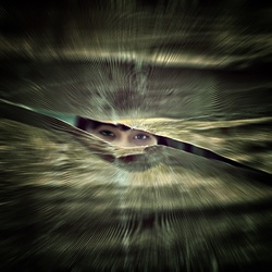 dailyPhoto5