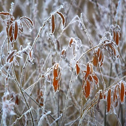 dailyPhoto40
