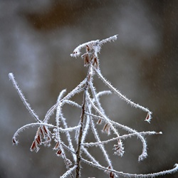 dailyPhoto11