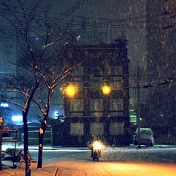 dailyPhoto9