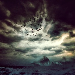 dailyPhoto24