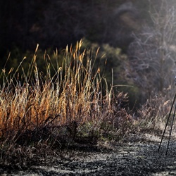 dailyPhoto28