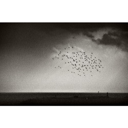 dailyPhoto39