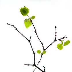 dailyPhoto8