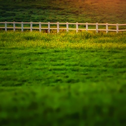 dailyPhoto22