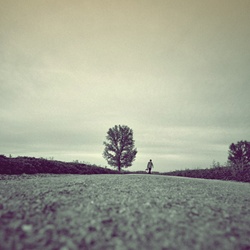 dailyPhoto21