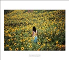 dailyPhoto1