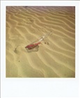 dailyPhoto6