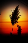 dailyPhoto26