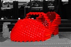dailyPhoto1