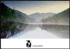 dailyPhoto3