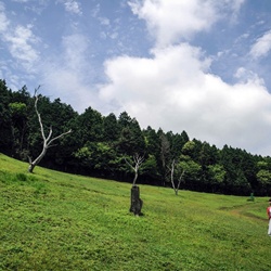dailyPhoto8