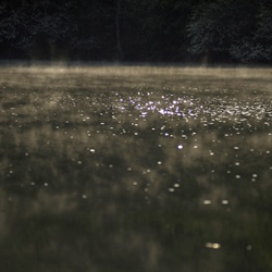 dailyPhoto25