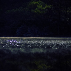 dailyPhoto21