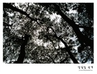dailyPhoto40