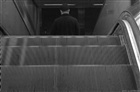 dailyPhoto4