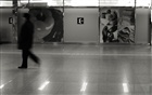 dailyPhoto33