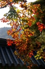 dailyPhoto8