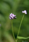 dailyPhoto7