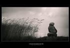 dailyPhoto8
