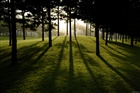 dailyPhoto39