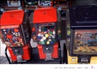 dailyPhoto40