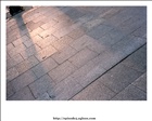 dailyPhoto8