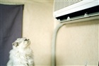 dailyPhoto21