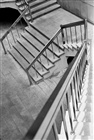 dailyPhoto7