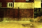 dailyPhoto29