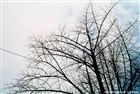 dailyPhoto39