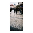 dailyPhoto12
