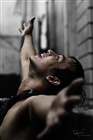 dailyPhoto38