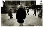 dailyPhoto10
