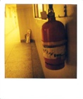 dailyPhoto8