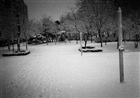 dailyPhoto12