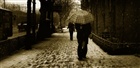 dailyPhoto25
